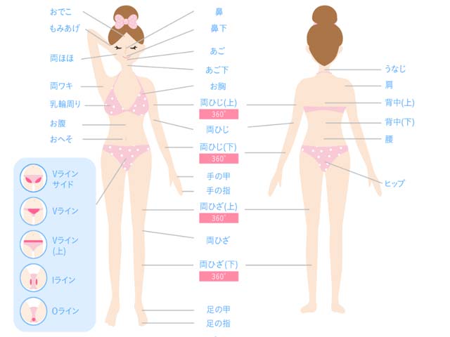 キレイモの全身脱毛は顏やVIOも含む33か所。