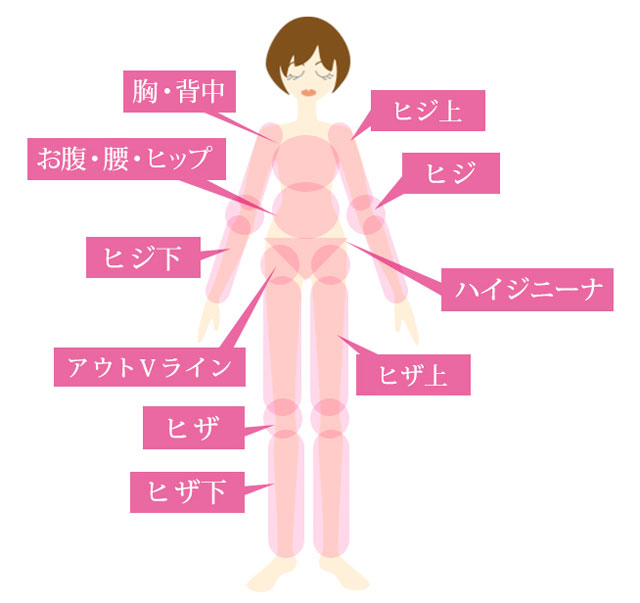 ヴィトゥレ 360°全身脱毛